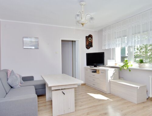 Mieszkanie 2 pokoje, parter, Dębiec, Poznań.